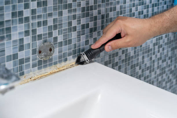 Best Localized Mold Remediation (e.g., coastal areas, humid climates) in Senatobia, MS
